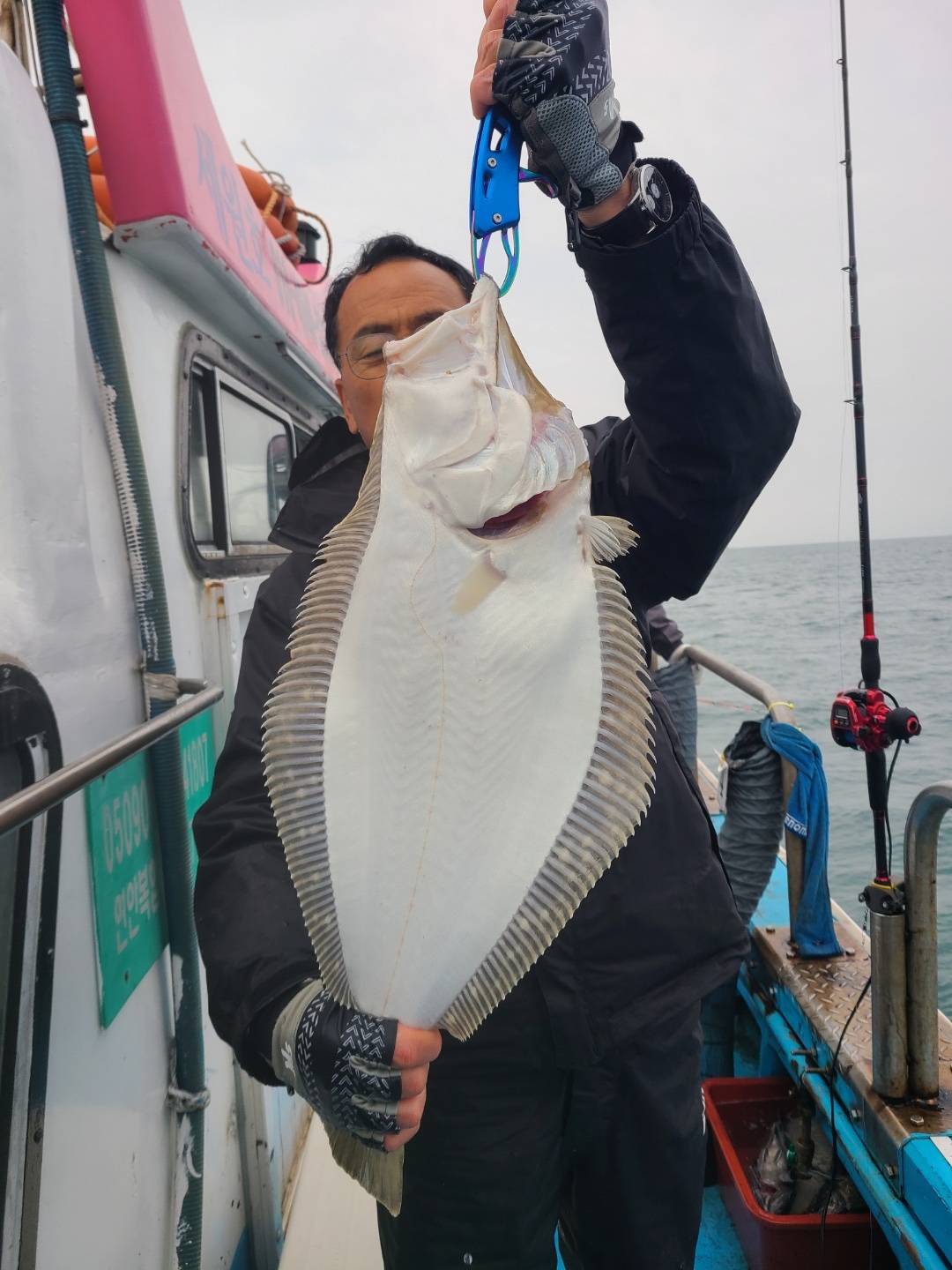 우럭,광어 태안 마검포