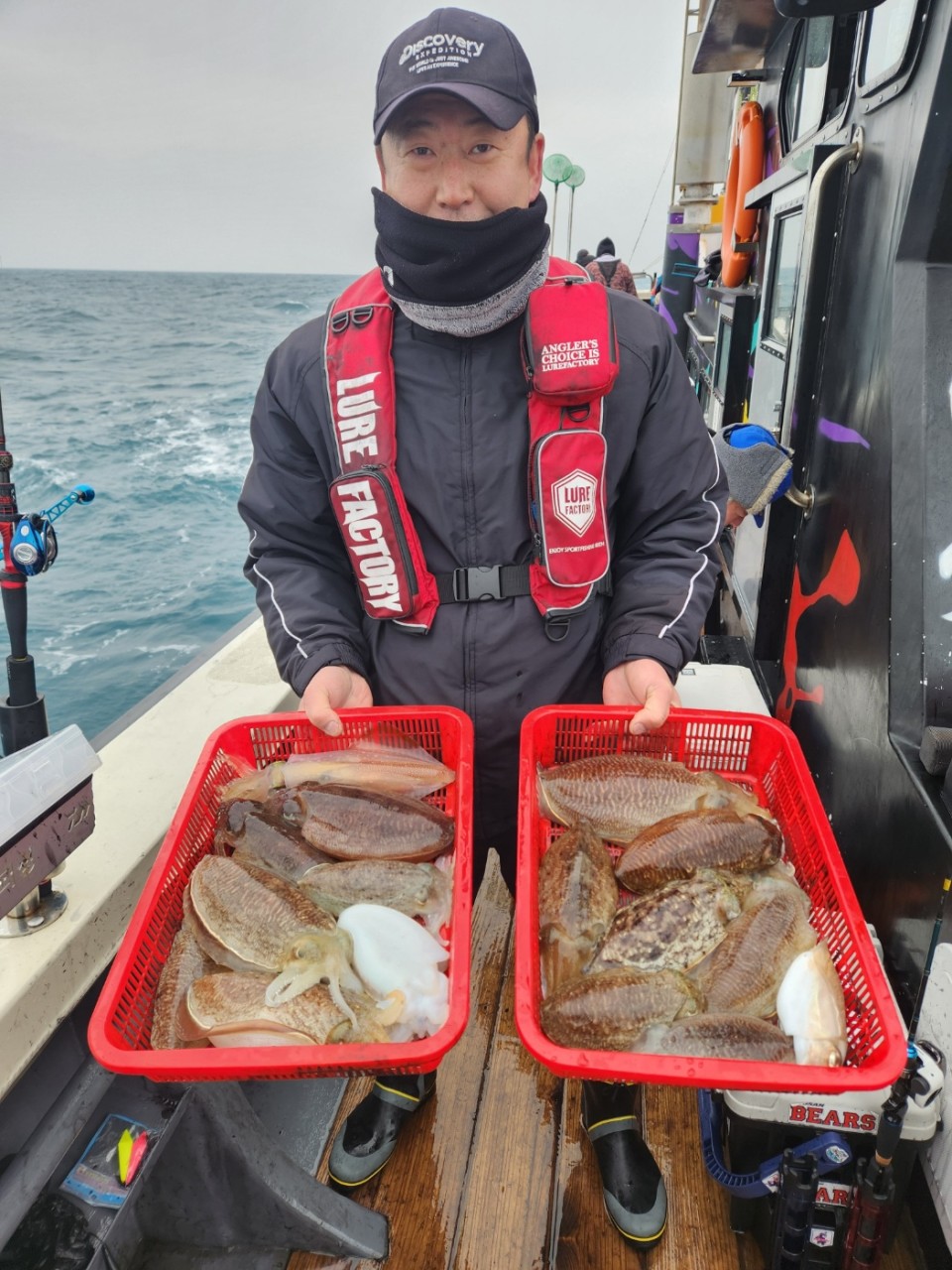 완도 심해갑오징어