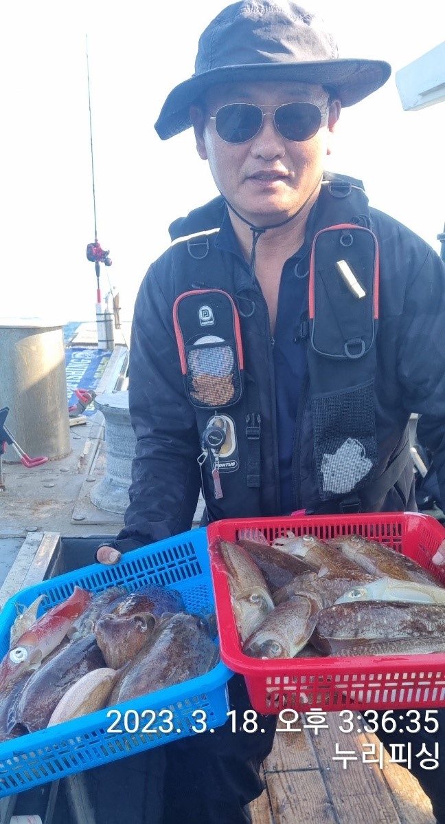 여수 심해갑오징어