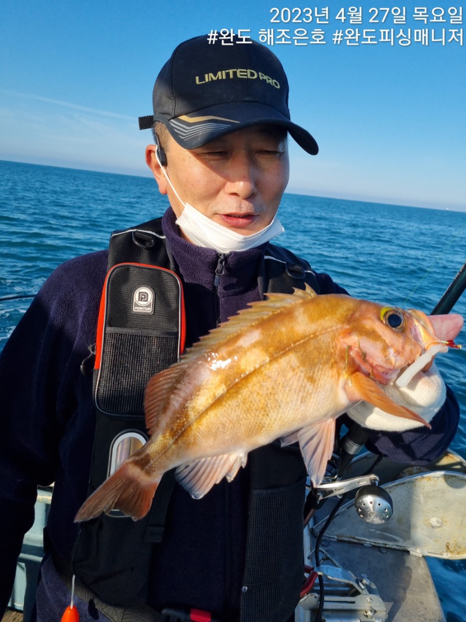 4월27일 완도 열기조황