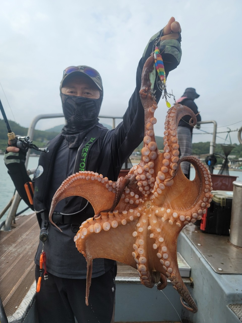 7월11일 고흥돌문어