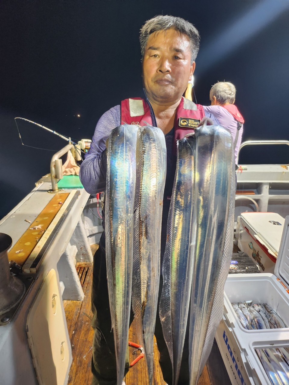 8월12일 완도갈치조황