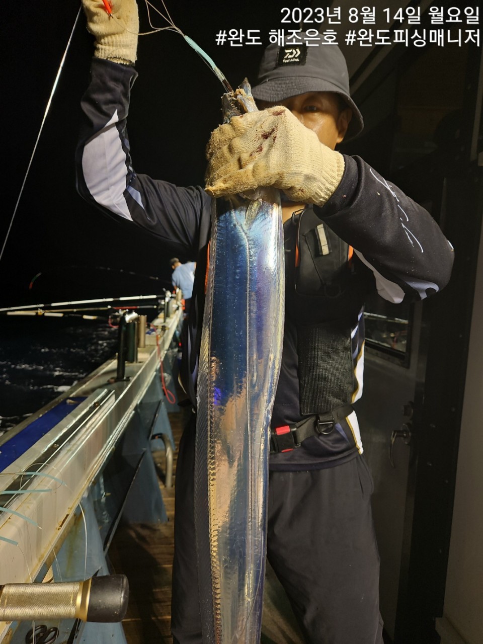 8월14일 완도갈치
