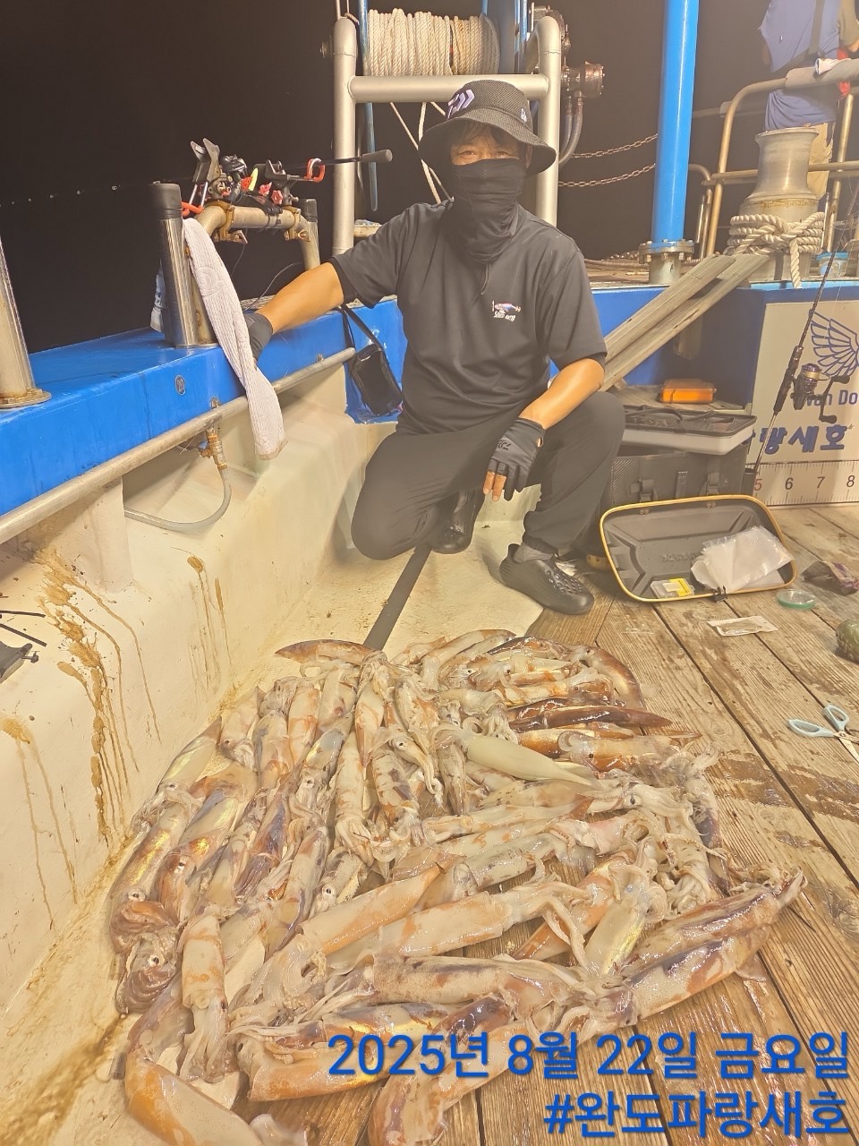 2025년8월21일 완도한치갈치