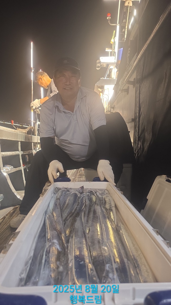 2025년8월19일 완도갈치