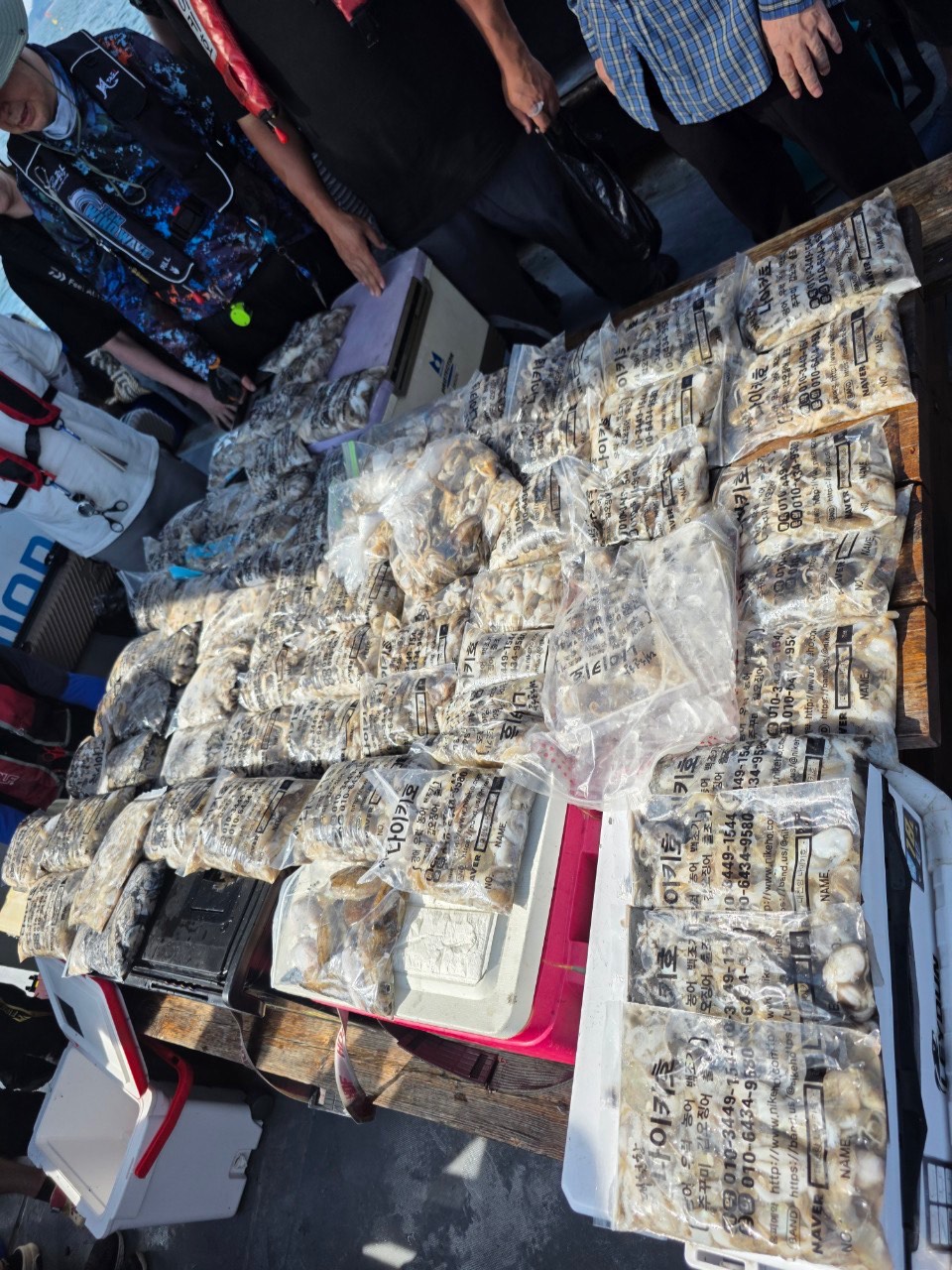 2025년9월3일 대천항쭈