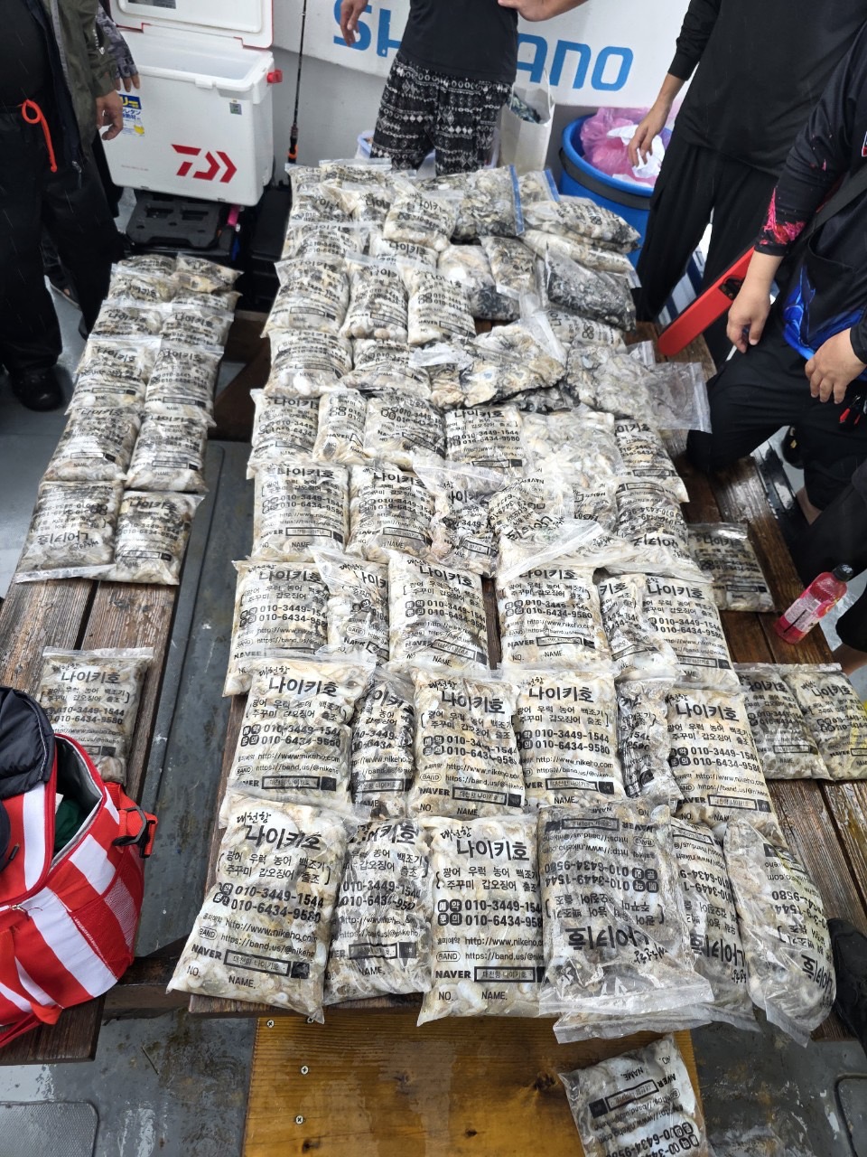 2025년9월1일 대천항쭈