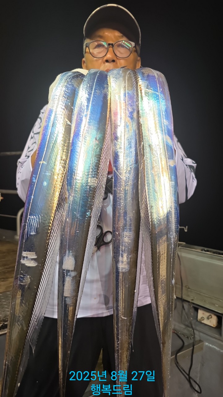 2025년8월26일 완도갈치