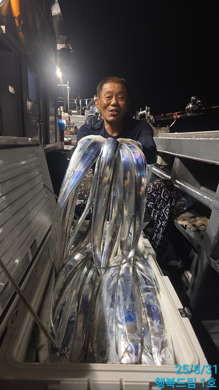 2025년8월30일 완도갈치
